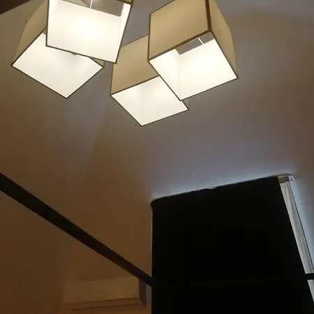 Gatto Bianco Duchessa 3*