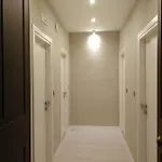 Gatto Bianco Duchessa