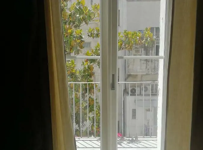 Gatto Bianco Duchessa Bari